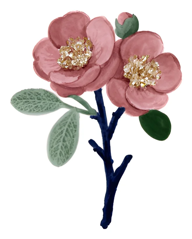 A painted branch of rose-coloured blossom.