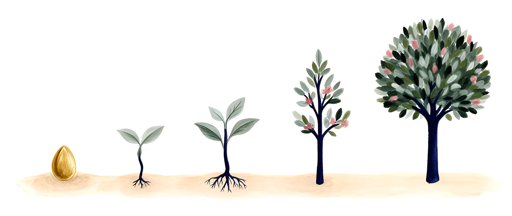 Five paintings in a row showing a tree growing: a golden seed, a sprout, a seedling, a sapling and a young tree in leaf.