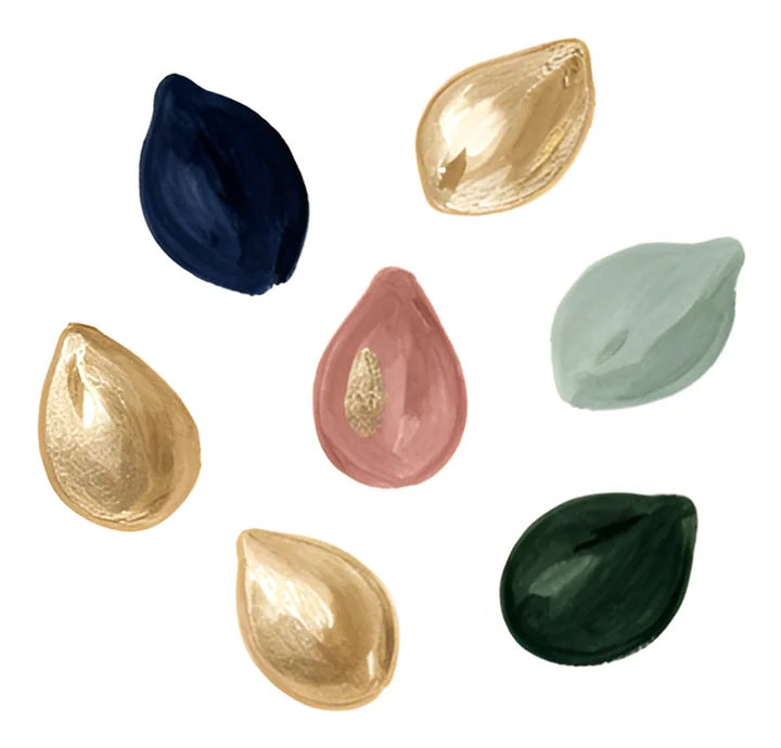 A painted scatter of seeds in gold, navy, rose and green.